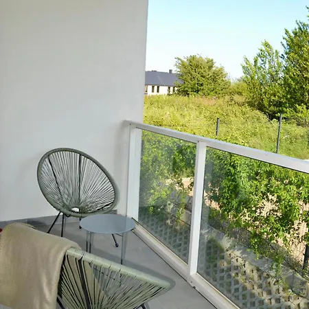 Kurka Wodna
