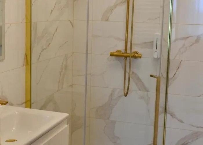 Kurka Wodna 公寓 *