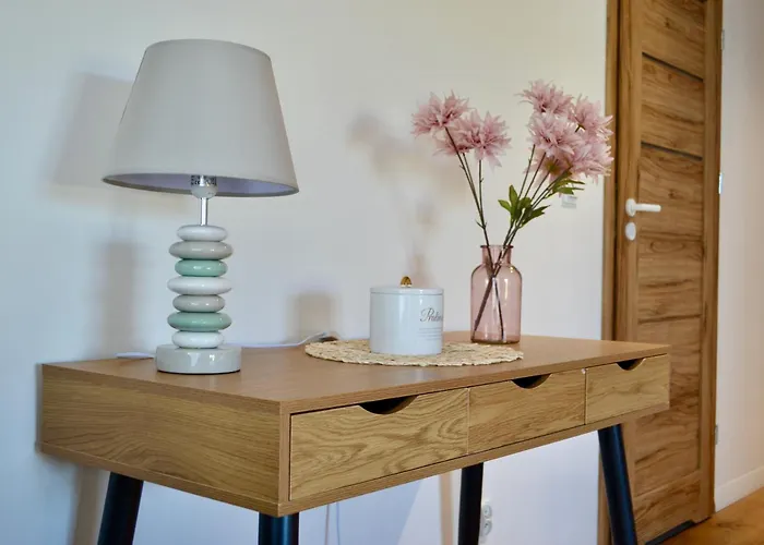 Kurka Wodna 公寓 *